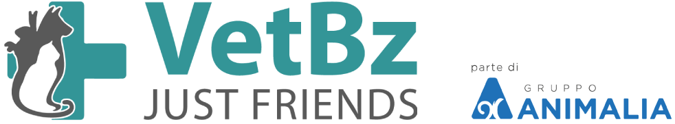 VetBZ Logo